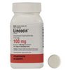 home-rx-pharmacy-Lincocin home-rx-pharmacy-Lincocin